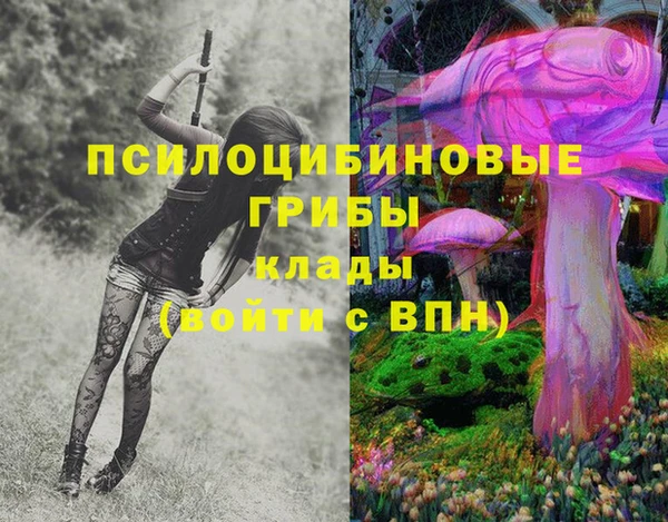 MDMA Premium VHQ Бронницы
