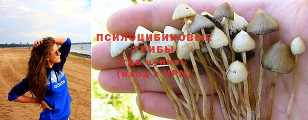 а пвп мука Бородино
