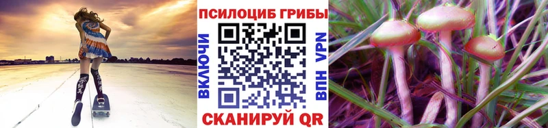 Псилоцибиновые грибы MAGIC MUSHROOMS  Клинцы 